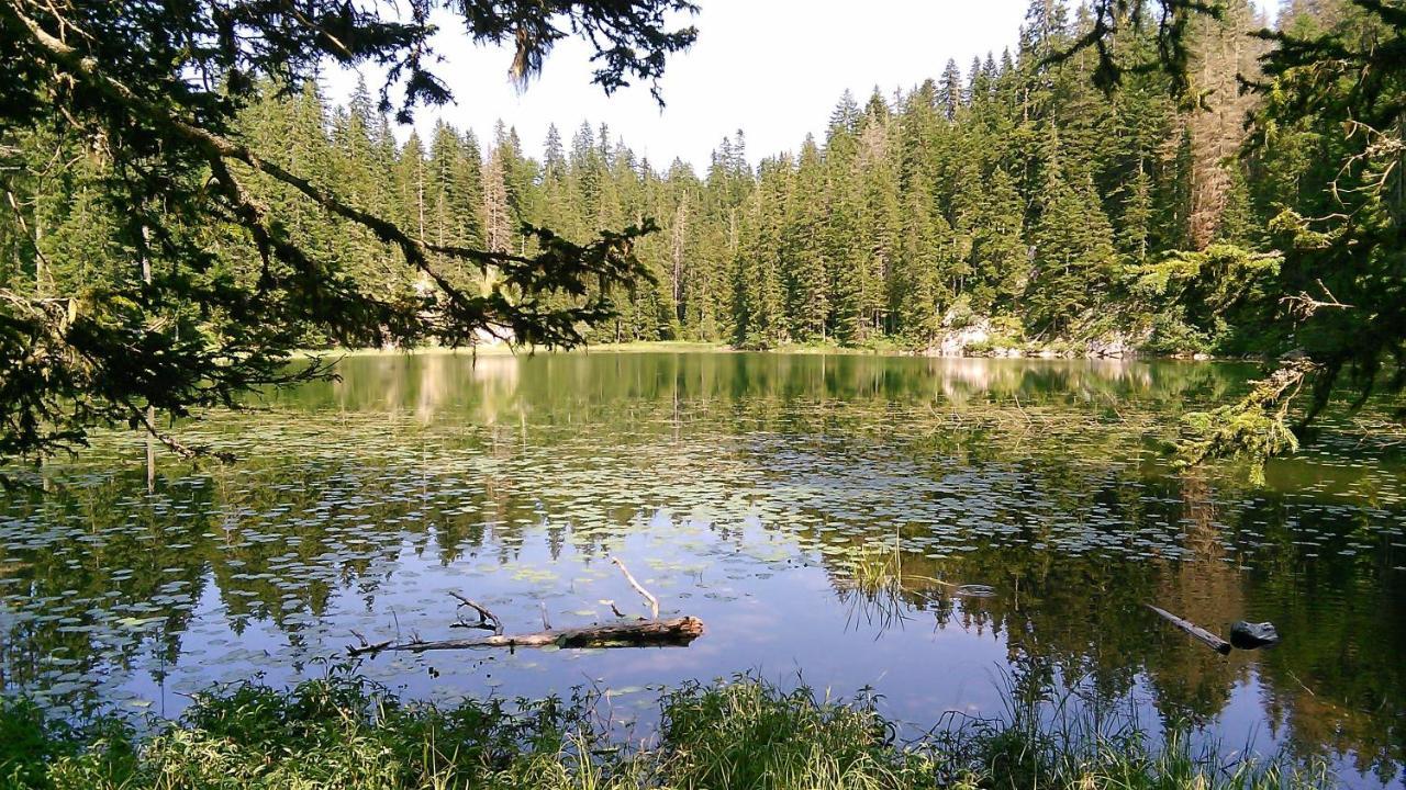 Cottage Bosaca Жабляк Екстер'єр фото